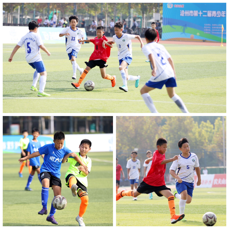 发掘和培养, 马影影